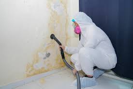 Best Mold Documentation for Insurance Claims  in Olathe, KS